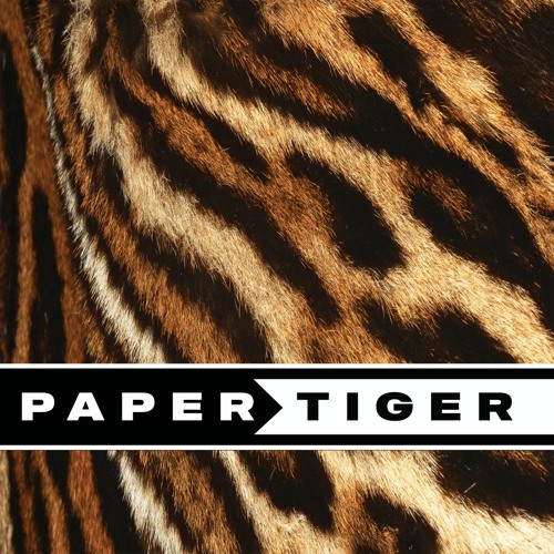 Paper Tiger - Deep Dark Progressive House & Melodic Techno