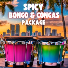 Spicy Montuno Patterns - Congas & Bongo Package