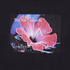 Into the dark of the night