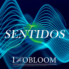 SENTIDOS
