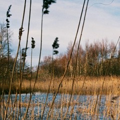 ⊂ ❍ ⋃ ⋉ ⸎ 42 - mishka