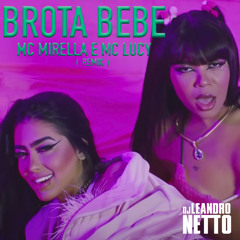 BROTA BEBE - MC MIRELLA E MC LUCY ( LEANDRO NETTO DJ / FDH REMIX )