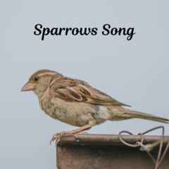 Sparrows Song