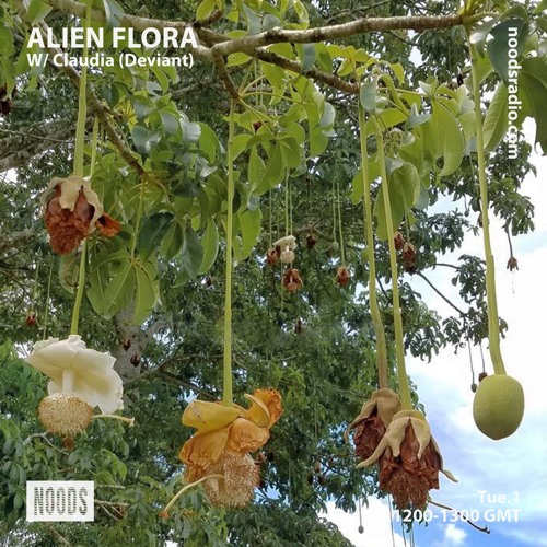 Alien Flora w/ Claudia (Deviant) ─ Noods Radio (01.06.2021)