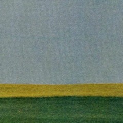 Gold Dust - Duster (Acoustic Cover)