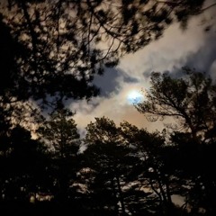 Witching Hours Halloween Special ( Spooky Forest / Dark psy mix 150 Bpm)