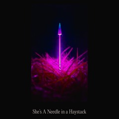 She’s A Needle in a Haystack