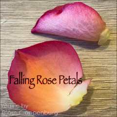 Falling Rose Petals