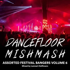 Assorted Festival Bangers Vol. 6 | Dancefloor Mishmash!