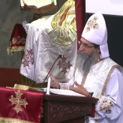 The Confession | Abouna Mina Girgis + Archdeacon Arsani Sidarous