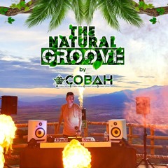 ☘️ The Natural Groove by COBAH ☘️ (ESPECIAL SET)