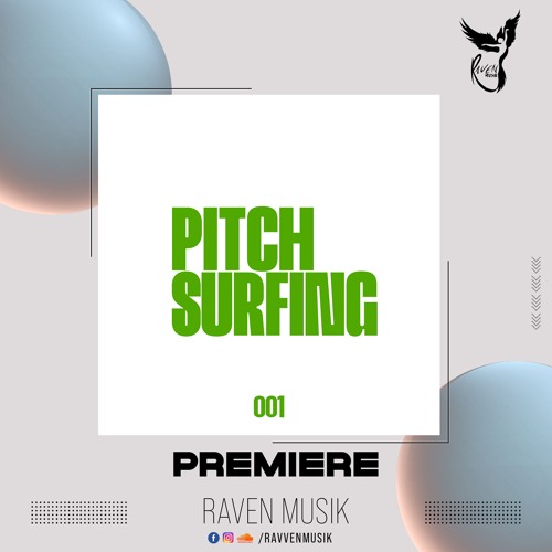 PREMIERE: PAAX - Shake your gruuv (Original Mix) [Pitch Surfing]