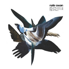 Nate Swan - Paper Wings (Yage.0k Remix)