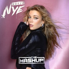 Oliver Heldens - Love For Gecko (David Nye Mashup)