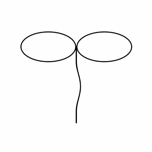 Sprout1