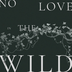 No Love in the Wild (Instrumental)