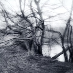 DnB / Ambient / Misc 🛸