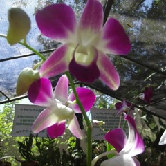 16.07.2022 - Cap. XI - Amar o Próximo Como a Si Mesmo - Caridade com os Criminosos (9)