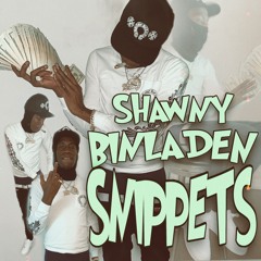 Shawny Binladen