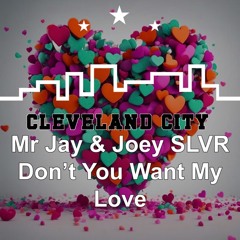 Mr Jay & Joey SLVR - Don't You Want My Love (Cleveland City Records)