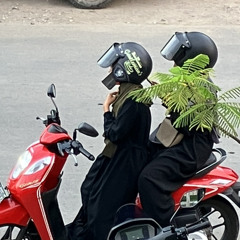 jayda wulf, zeb - promises