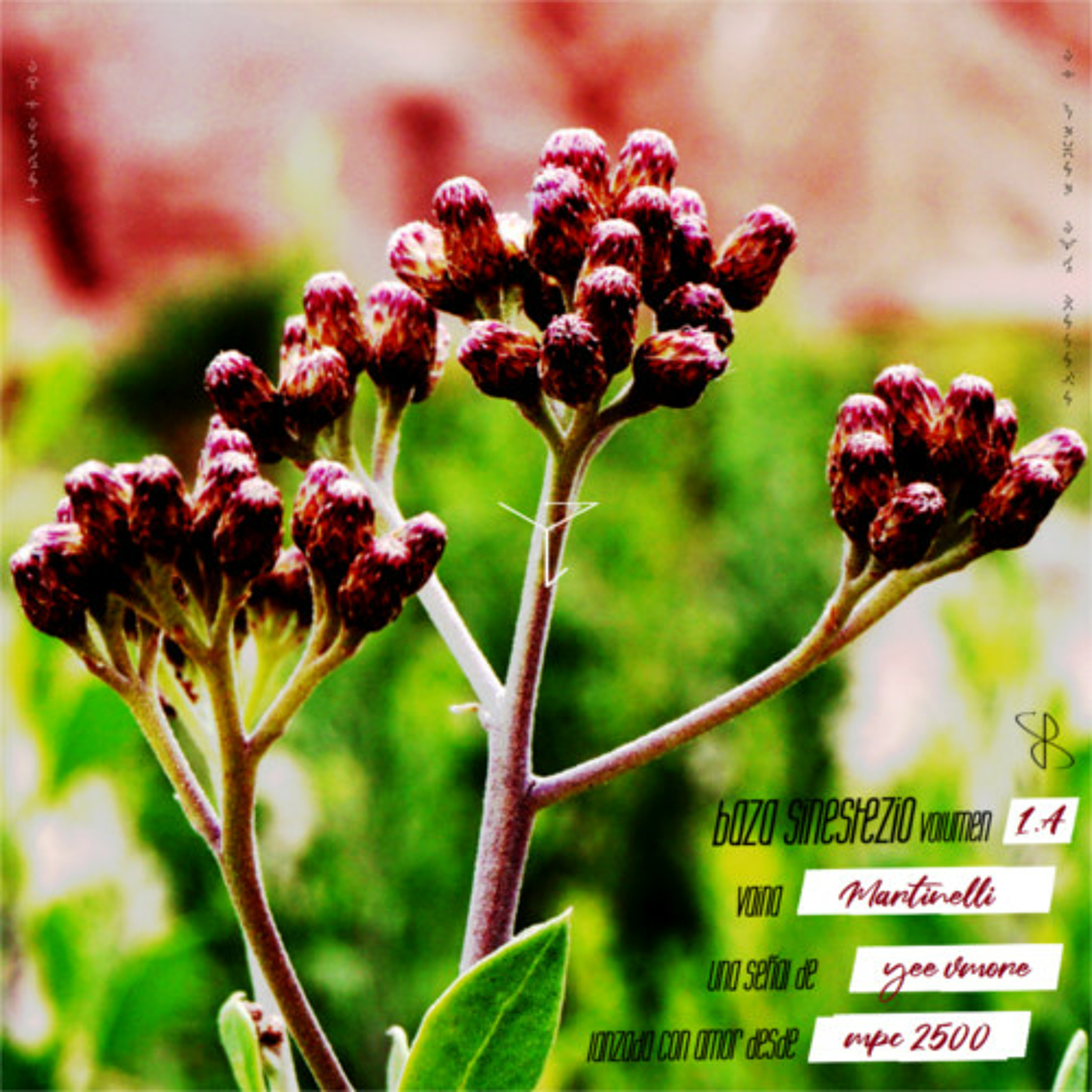 Portada de lxsyeyestribe