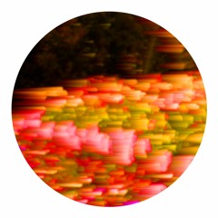 Stellarator - Booze Groove Garden (Wonky House Mix 03/05/21)