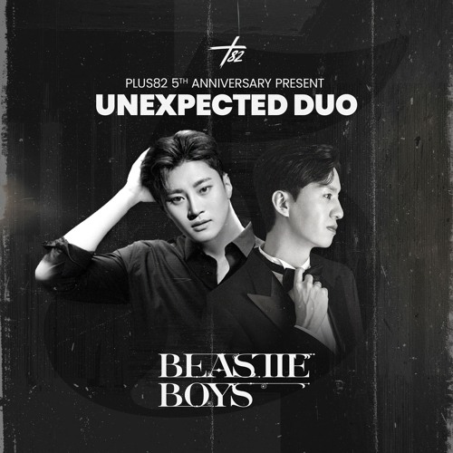 BEASTIE BOYS ERIC X OWEN - Plus82 Unexpected Duo Present Vol.11