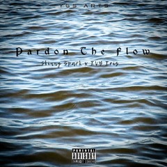 Pardon The Flow (feat. IVY Iris) [Prod . J Mentor]