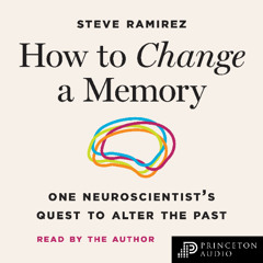 How to Change a Memory - Marketing Copy
