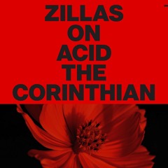PREMIERE: Zillas On Acid - The Corinthian (Flore Remix) [Dischi Autunno]