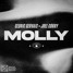 Cedric Gervais & Joel Corry - MOLLY (Tanikao Remix)