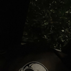 ‎lightspeed / lone