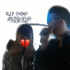 LuhGeno™️- FLY HIGH LLC💙