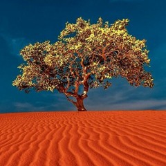 Igor Rodionov - Blooming (Live DJ set)