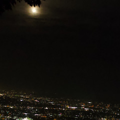 ミュージック ZORN 4 ZORN/Walk This Way feat.AKLO [Pro.dubby