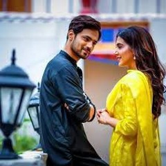 Muhabbat Thujhy Alvida OST (Sahir Ali Bhaga)