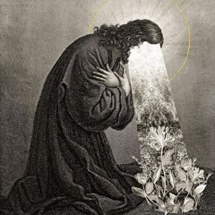 light of the tunnel prod sodiac †