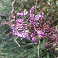 Motion Picture Soundtrack - Radiohead guitar cover