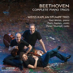 Piano Trio No. 1 in E-Flat Major, Op. 1 No. 1: IV. Finale. Presto