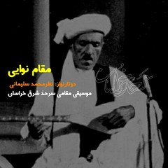 موسیقی شرق خراسان، مقام نوایی، تک‌نوازی دوتار استاد نظرمحمد سلیمانی