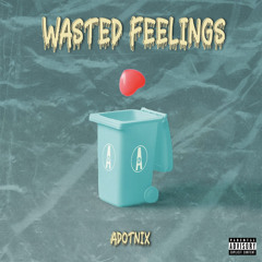 Wasted Feelings