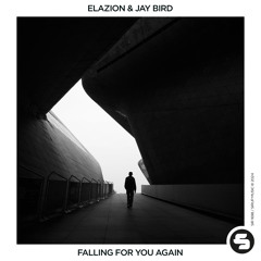 Elazion & Jay Bird - Falling for You Again
