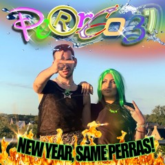 PERREO31 MIX New Year, Same Perras