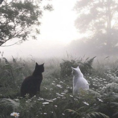 ぽっかんカラー hoodtrap REMIX (prod. kex2bas1k)