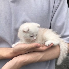 Земфира - П.М.М.Л. (BUINAGOLOVUSHKA)