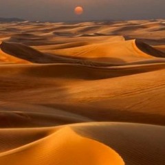 Anecdoche - Dune