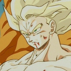 [Dragon Ball] とびっきりの最強対最強