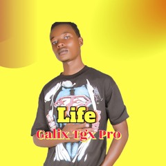 Life