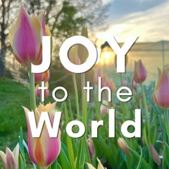 Joy To The World - Live Acoustic